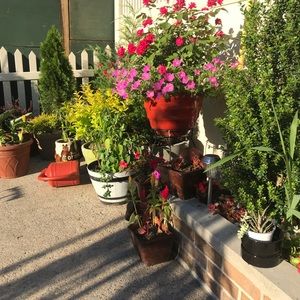 Meet your Posher, Cindy